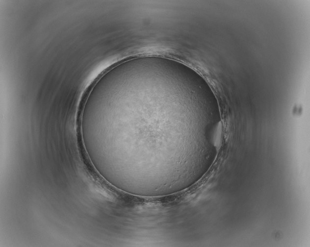 X0000093520196200710261227