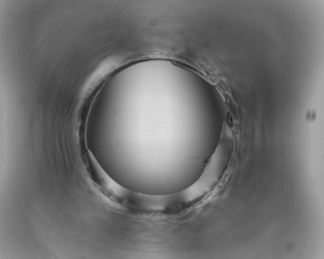 X0000093520197200710261227