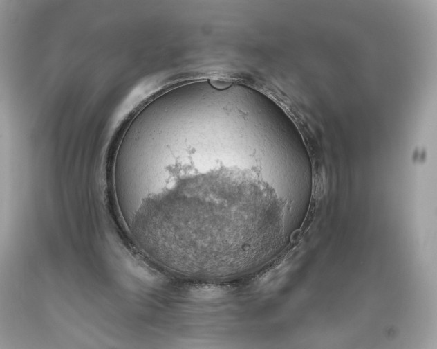 X0000093520198200710261227