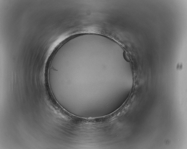 X0000093520200200710261227