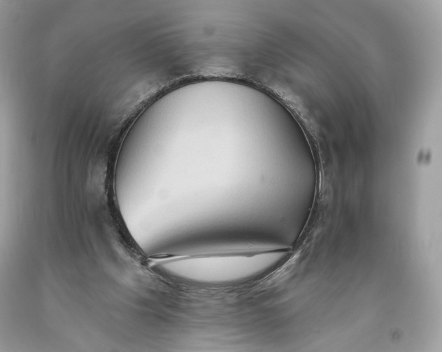 X0000093520201200710261227