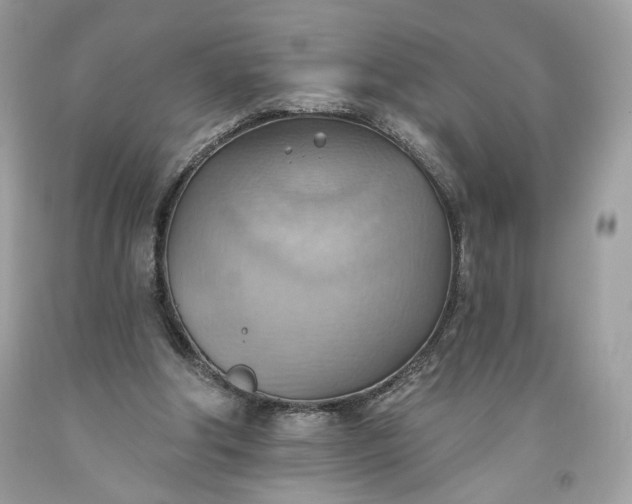 X0000093520202200710261227