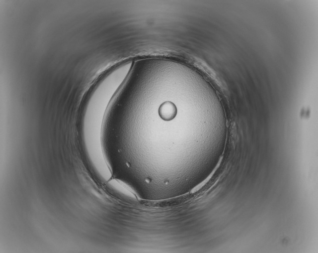 X0000093520203200710261227