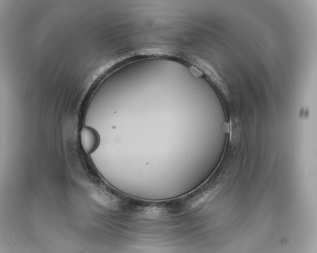 X0000093520204200710261227