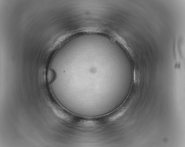 X0000093520205200710261227