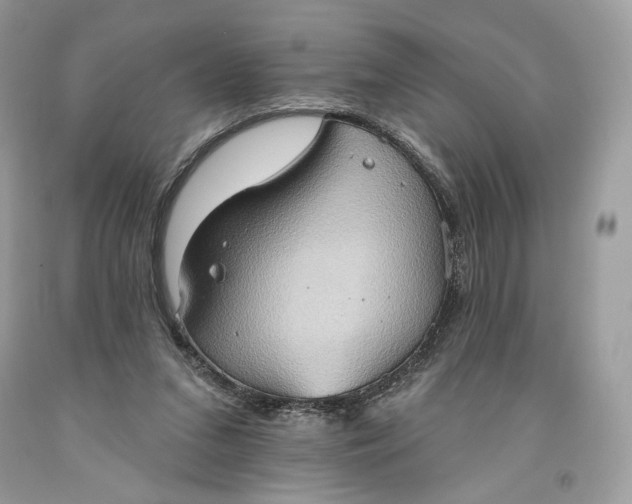 X0000093520207200710261227