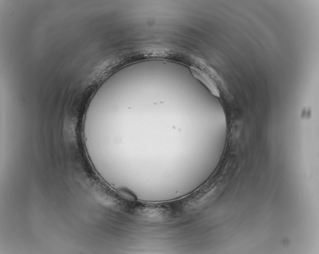 X0000093520209200710261227