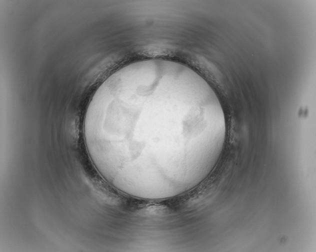 X0000093520210200710261227