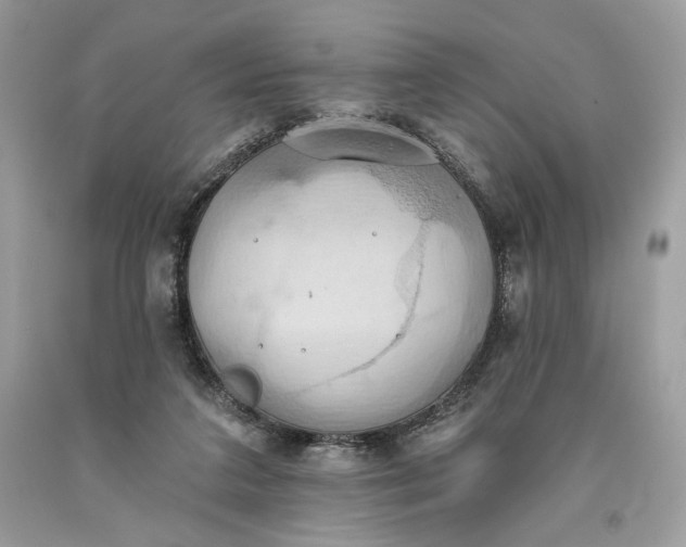 X0000093520211200710261227