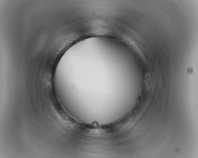 X0000093520212200710261227