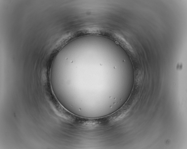 X0000093520213200710261227