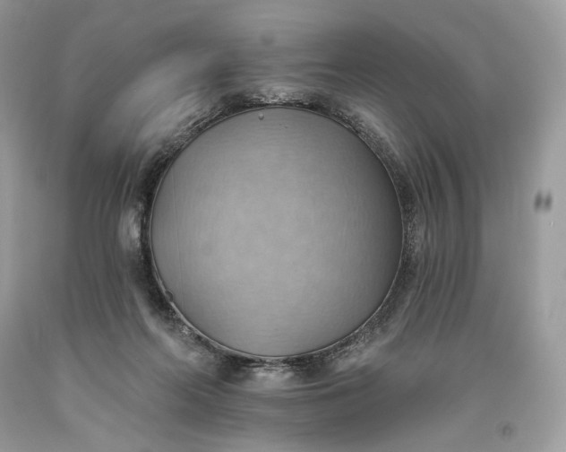 X0000093520214200710261227