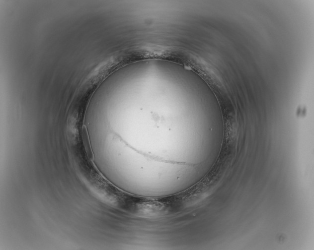 X0000093520215200710261227