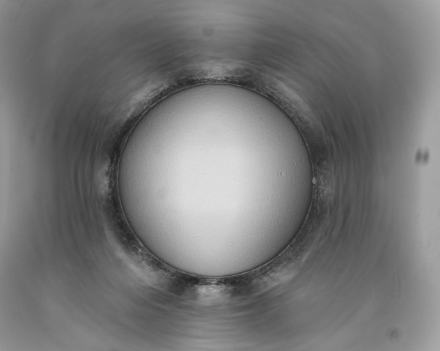 X0000093520216200710261227