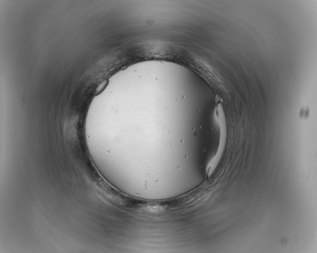 X0000093520217200710261227