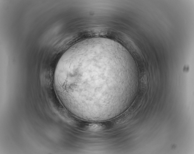 X0000093520218200710261227