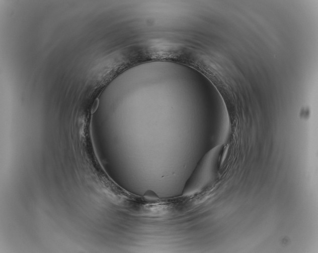 X0000093520219200710261227