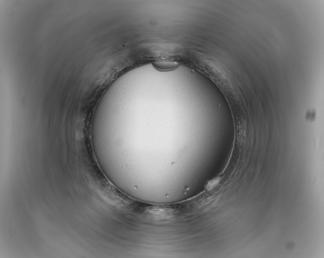 X0000093520221200710261227