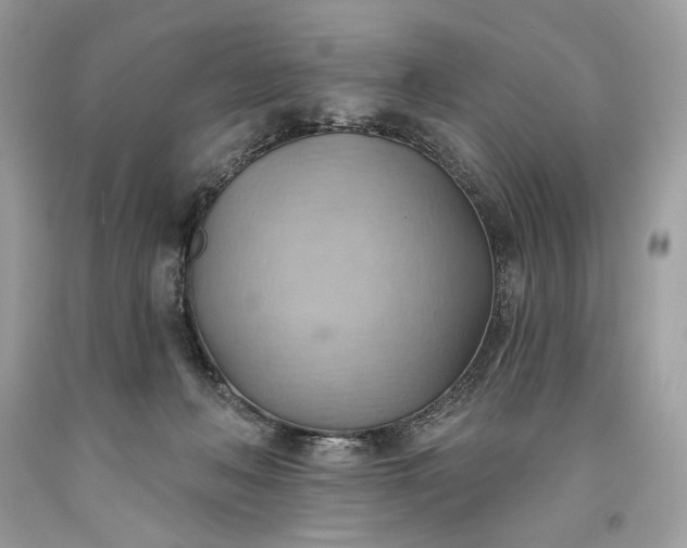 X0000093520222200710261227