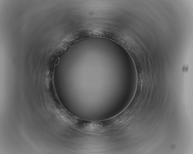 X0000093520223200710261226