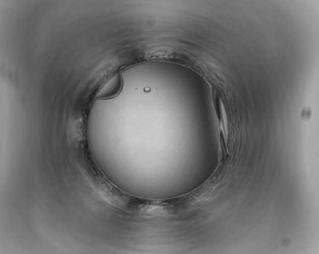 X0000093520224200710261226