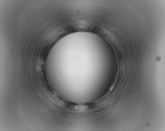 X0000093520225200710261226