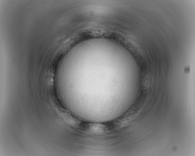 X0000093520226200710261226