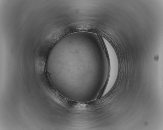 X0000093520227200710261226