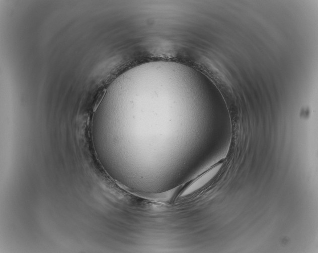 X0000093520229200710261226