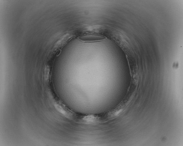 X0000093520231200710261226