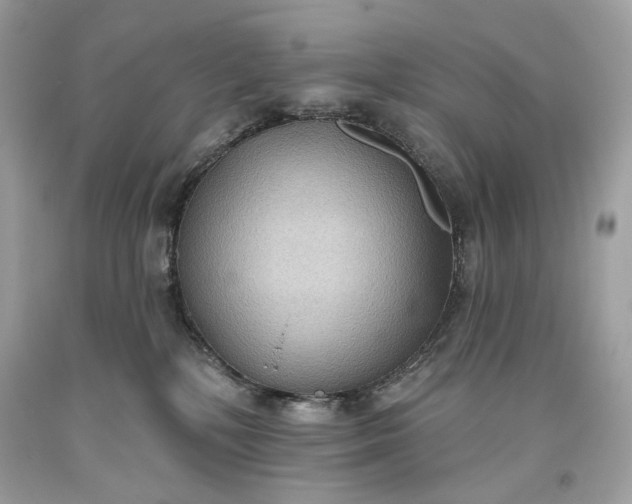 X0000093520232200710261226