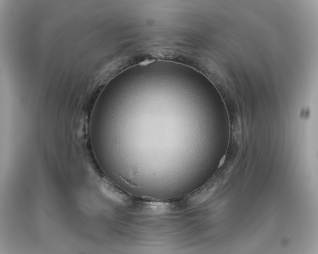 X0000093520233200710261226