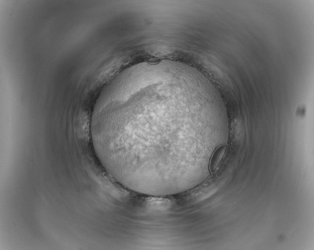 X0000093520234200710261226