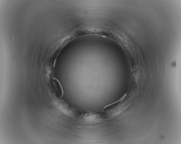 X0000093520235200710261226