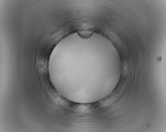 X0000093520236200710261226