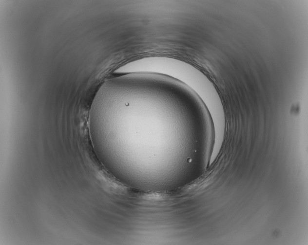 X0000093520237200710261226