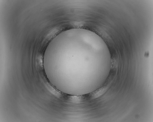 X0000093520238200710261226