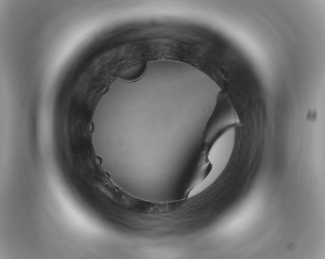 X0000093520239200710261226