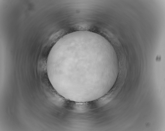 X0000093520240200710261226