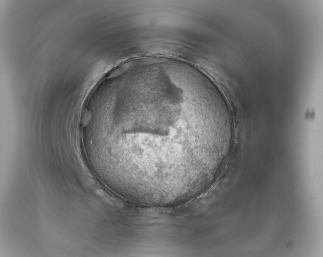 X0000093520241200710261226