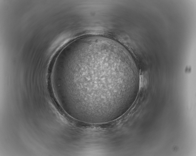 X0000093520243200710261226