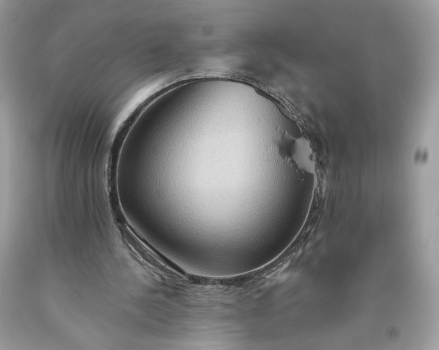 X0000093520244200710261226