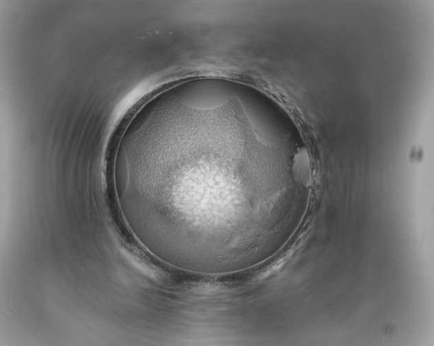 X0000093520246200710261226