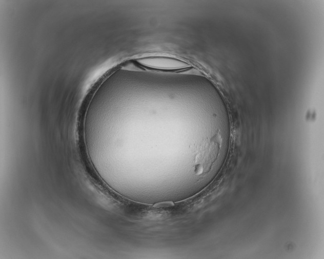 X0000093520248200710261226