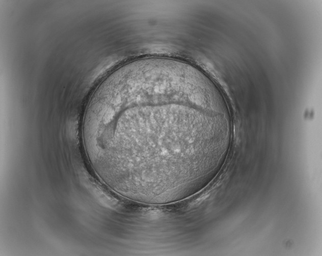 X0000093520249200710261226