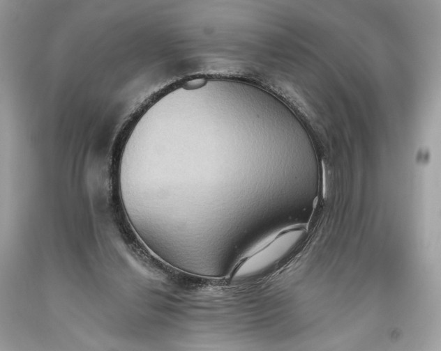 X0000093520252200710261226