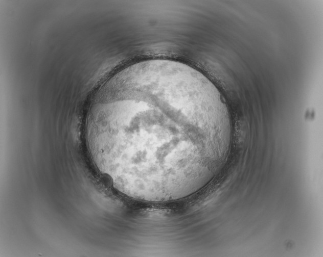 X0000093520255200710261226