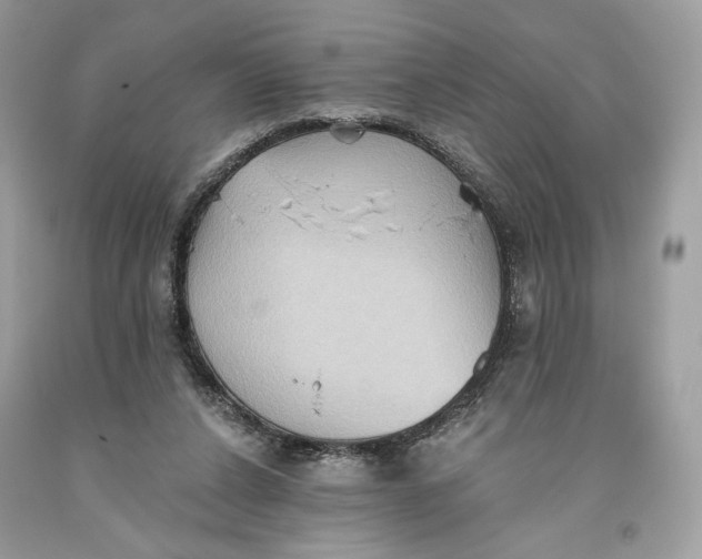 X0000093520256200710261226