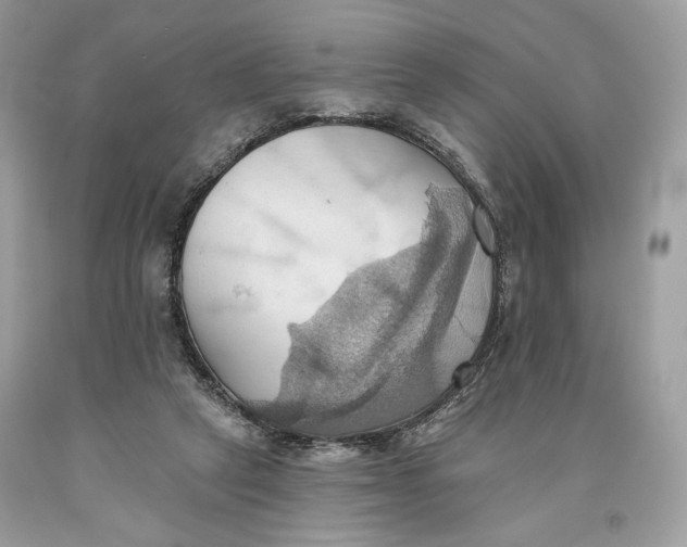 X0000093520257200710261226