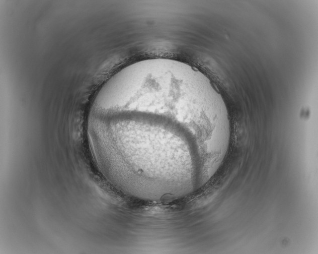 X0000093520259200710261226